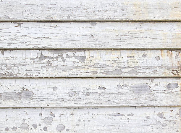 Best Siding Painting and Refinishing  in Aho Falls, ID